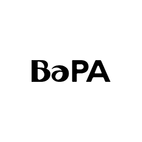 Academy of Programming and Art BaPA Award bronze